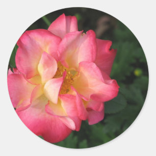 Betty Boop - 24. Mai 2009 139 Runder Aufkleber