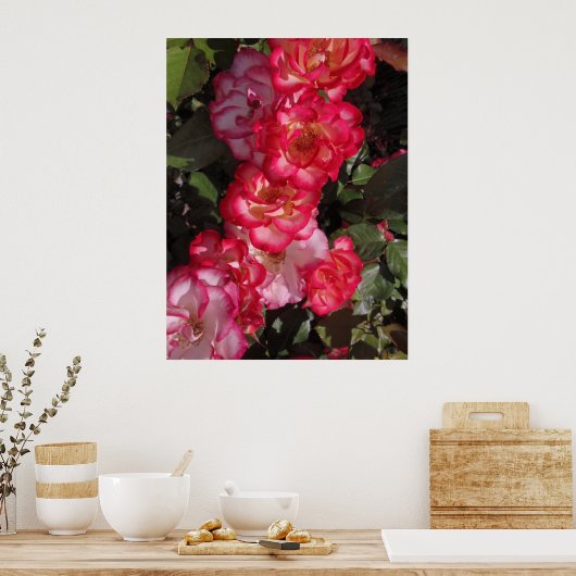 Betty Boop Rose Poster (Küche)