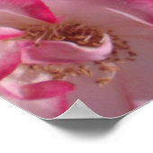 Betty Boop Rose Poster (Ecke)