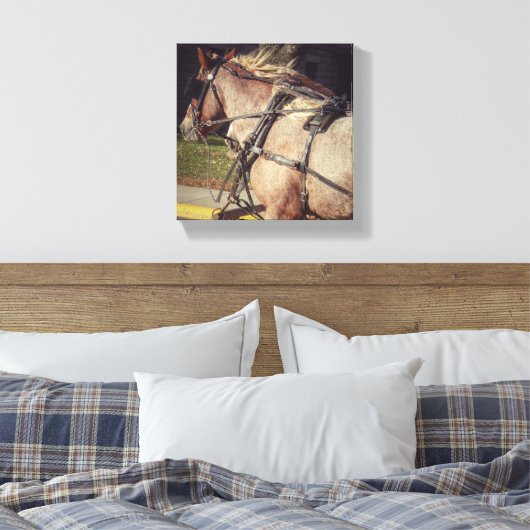 Beuatiful Horse Leinwanddruck (Insitu (Schlafzimmer))