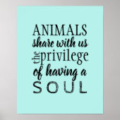 Beurteilung von Tieren Poster (Vorne)