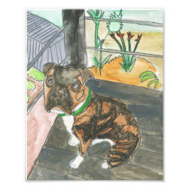 Bev the Pup Print Fotodruck