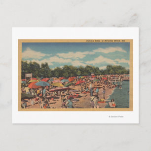 Beverley Beach, MD - Sonnenbadezene Postkarte