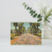 Beverly Gardens, Beverly Hills, Kalifornien Postkarte (Stehend Vorderseite)