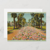 Beverly Gardens, Beverly Hills, Kalifornien Postkarte (Vorne/Hinten)