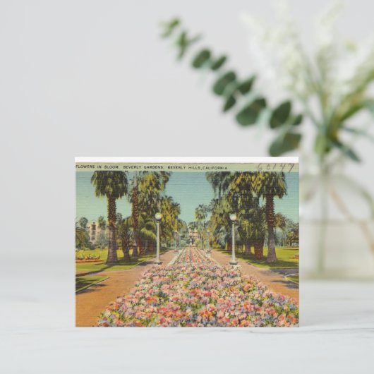 Beverly Hills Blume Postkarte (Stehend Vorderseite)