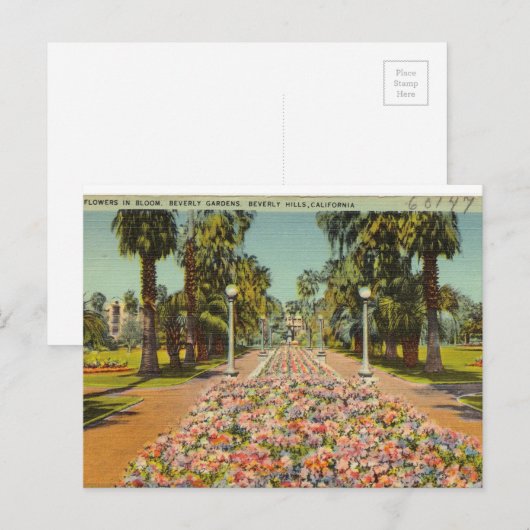 Beverly Hills Blume Postkarte (Vorne/Hinten)