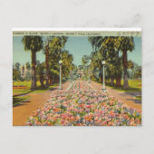 Beverly Hills Blume Postkarte (Vorderseite)