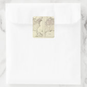 Bevölkerung Irlands und Deutschlands 1870 Quadratischer Aufkleber (Tasche)