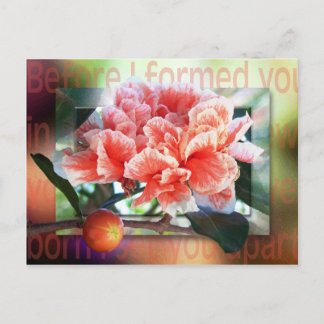 Bevor ich dich geformt habe postkarte