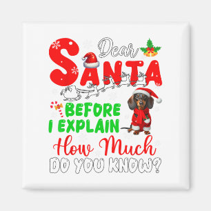 Bevor ich erkläre, wie viel Sie wissen, Weihnachte Magnet