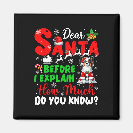 Bevor ich erkläre, wie viel Sie wissen Xmas Papill Magnet (Vorne)