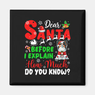 Bevor ich erkläre, wie viel Sie wissen Xmas Papill Magnet