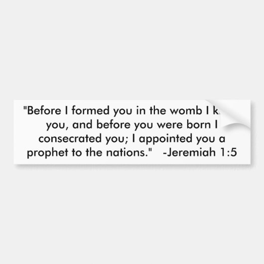 "Bevor ich Sie in der Geb5rmutter bildete, kannte Autoaufkleber (Vorne)