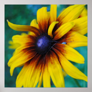 Bewachung der Schönheit Poster