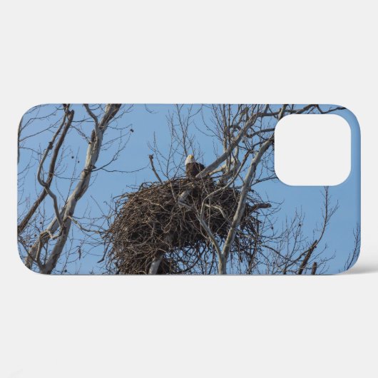 Bewachung von Eagle iPhone Case (Rückseite (Horizontal))