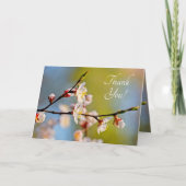 Bewährte japanische Aprikose-Blume Dankeskarte (Vorderseite)