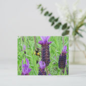 Beware Aware Postcard Postkarte (Stehend Vorderseite)