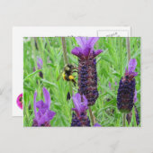 Beware Aware Postcard Postkarte (Vorne/Hinten)