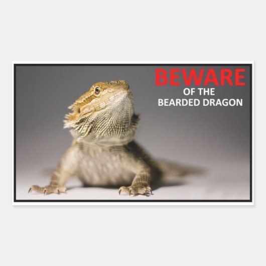 BEWARE des bärtigen Drachen Rechteckiger Aufkleber (Vorderseite)