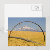 Bewässerungsleitung vor Ort Postkarte (Vorne/Hinten)