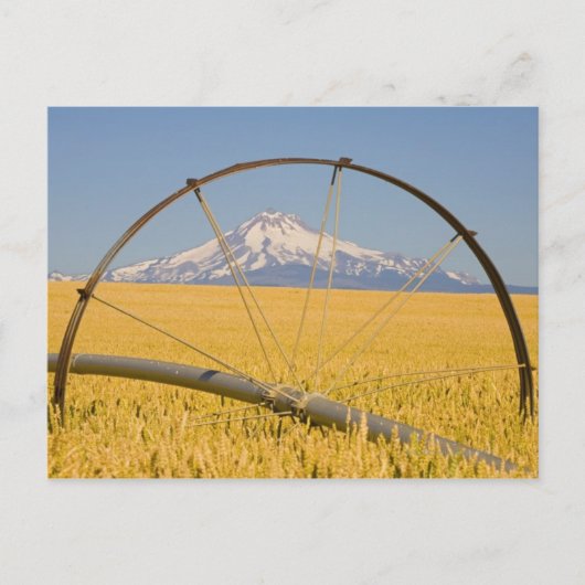 Bewässerungsleitung vor Ort Postkarte (Vorderseite)