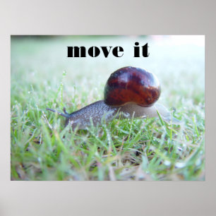 bewegen poster