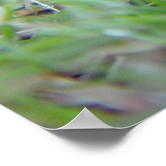 bewegen poster (Ecke)