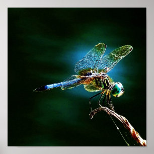 Beweglich schnell, wenn stehend noch poster