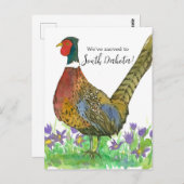 Bewegung Ankündigung Süd Dakota Pheasant Postkarte (Vorne/Hinten)