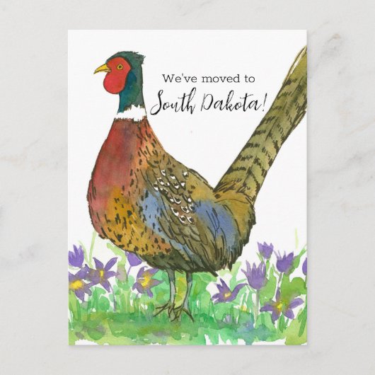 Bewegung Ankündigung Süd Dakota Pheasant Postkarte (Vorderseite)