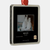 Bewegungen Silbernes Ornament (Rechts)