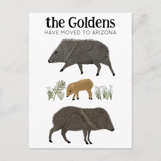 BEWEGUNGSANKÜNDIGUNG Javelina Familienwüste Arizon Postkarte (Vorderseite)