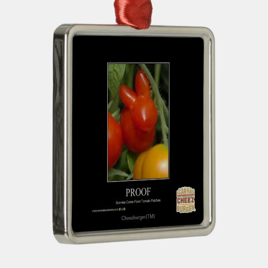 Beweis Silbernes Ornament (Rechts)