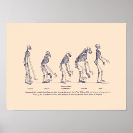 Beweise für den Platz des Menschen in der Natur Poster