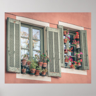 BEWERTETE BLUME IN VASE NEAR FENSTER POSTER