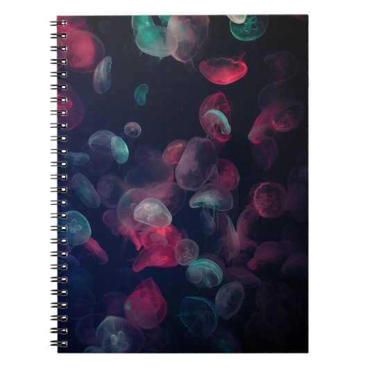 BEWERTETE FARBE JELLYFISH-MALERIERUNG NOTIZBLOCK (Vorderseite)