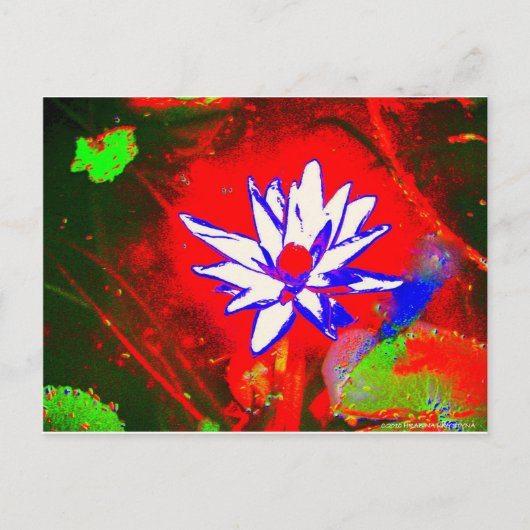BEWERTETES ABSTRAKT POSTKARTE (Vorderseite)