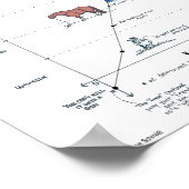 Bewertung des Risikos von Pferden Mini-Poster Poster (Ecke)