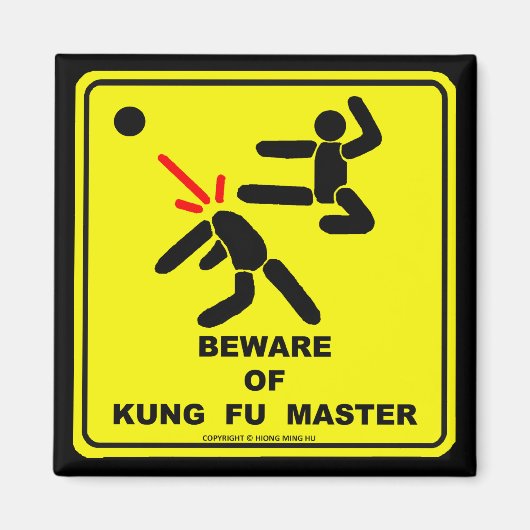 BEWERTUNG VON KUNG FU MASTER MAGNET (Vorne)