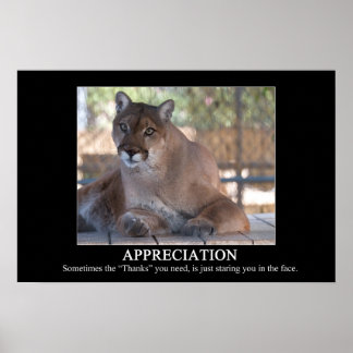 Bewertungspapster Poster