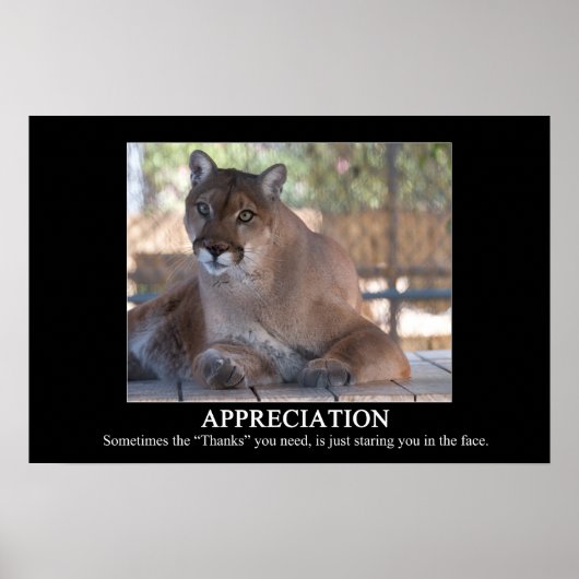 Bewertungspapster Poster (Vorne)