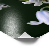 Bewi On Bluebell Blume Nah bis 8x8 Fotodruck (Ecke)