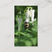 Bewi on White Columbine Blume Business Card Visitenkarte (Rückseite)