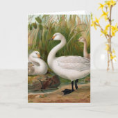 "Bewick-Schwan" Karte (Gelbe Blume)