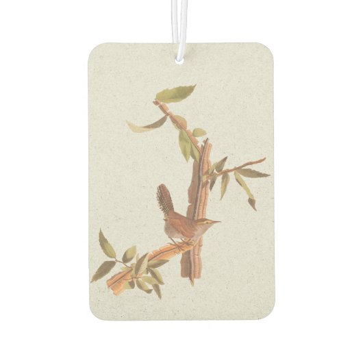 Bewicks langschwänzender Wren Audubon Solitary Bir Autolufterfrischer (Rückseite)