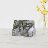 Bewick's Wren and moss Blank Note Card Karte (Gelbe Blume)