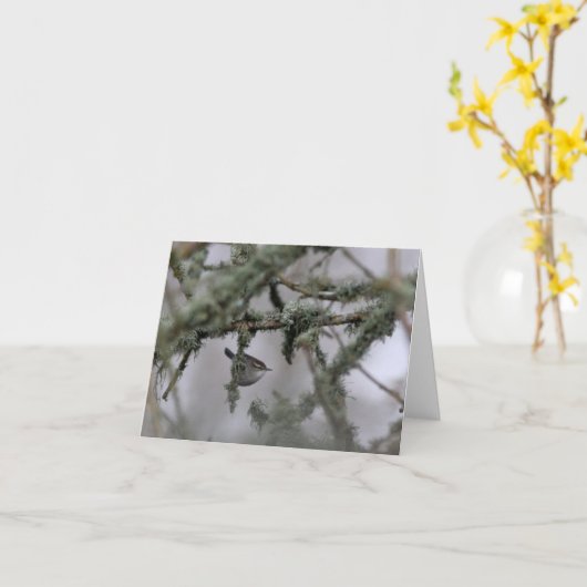 Bewick's Wren and moss Blank Note Card Karte (Gelbe Blume)