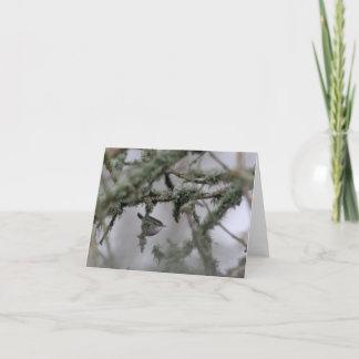 Bewick's Wren and moss Blank Note Card Karte