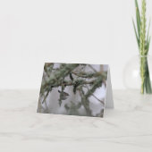 Bewick's Wren and moss Blank Note Card Karte (Vorderseite)